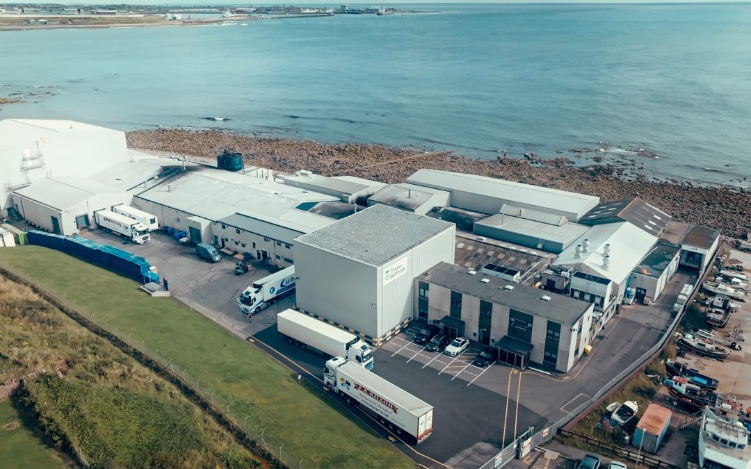 Junior Account Manager