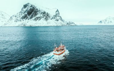 Thistle Seafoods and Aquamar Partnership